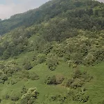Cupiglione * Lago (Calabria)