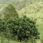 Agroturismo Cupiglione *