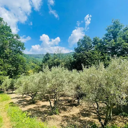 Cupiglione Feriegård Lago (Calabria)