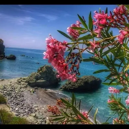 Alloggio per agriturismo Agriturismo Cupiglione