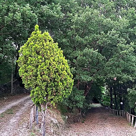 Alloggio per agriturismo Agriturismo Cupiglione *