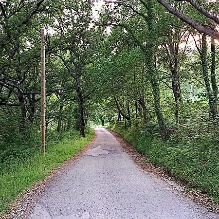 Cupiglione Lago (Calabria)
