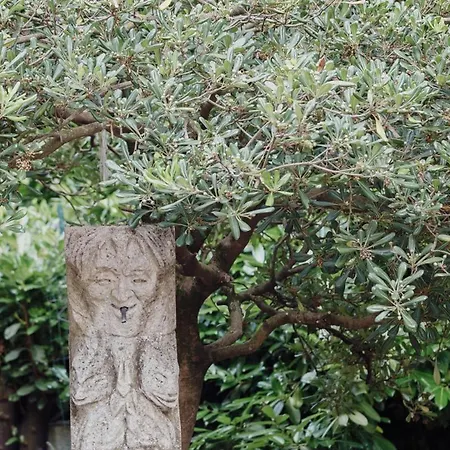 Cupiglione Feriegård Lago (Calabria)